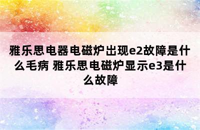 雅乐思电器电磁炉岀现e2故障是什么毛病 雅乐思电磁炉显示e3是什么故障